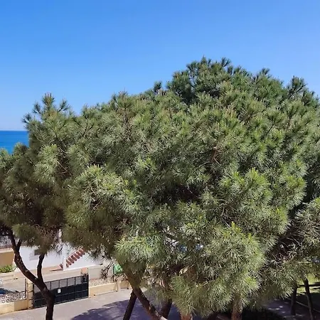 Calahonda Brand New Oceanfront Apartment Sitio de Calahonda
